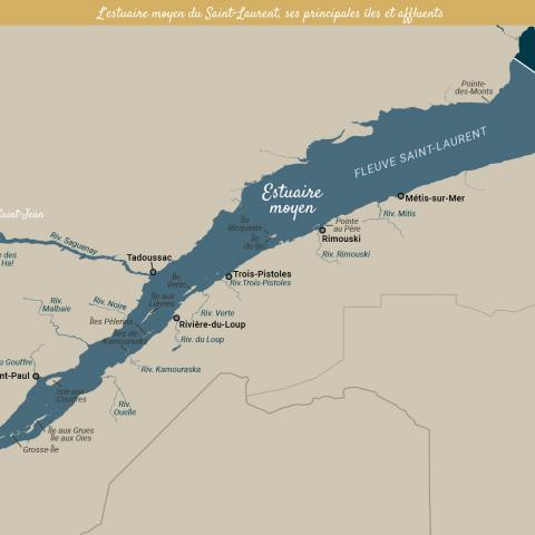 Carte géographique de l’estuaire du Saint-Laurent (estuaire fluvial, moyen et maritime), de ses affluents et principales îles.